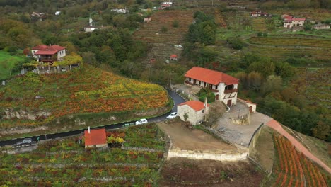 ribeira sacra is a spanish district famous for wines located in the south of the province of lugo and in the north of the province of ourense in galicia, spain drone slowly panning around the vineyard