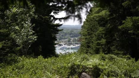 Mega-yacht-boats-framed-between-lush-deciduous-forest-on-lake