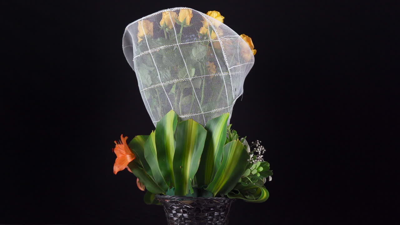 rosas amarillas gerbera lirio girando en fondo negro plano general