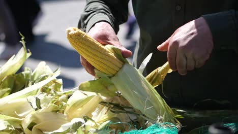 preparing fresh corn at a local market
