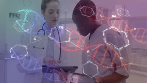 Animation-of-dna-and-data-processing-over-diverse-doctors-in-hospital