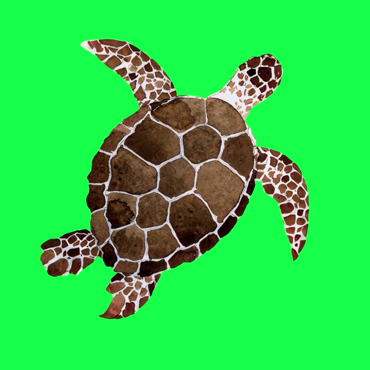 Ilustración en acuarela de una tortuga marina nadando en pantalla verde