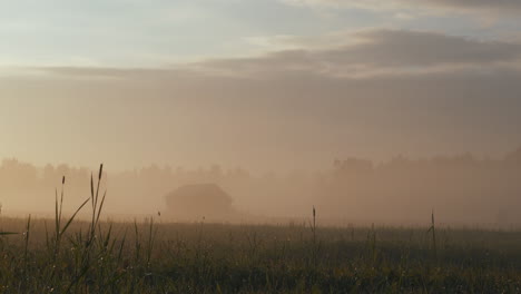 peaceful kherson region landscape, border between russia and ukraine amid war:on a silent misty morning