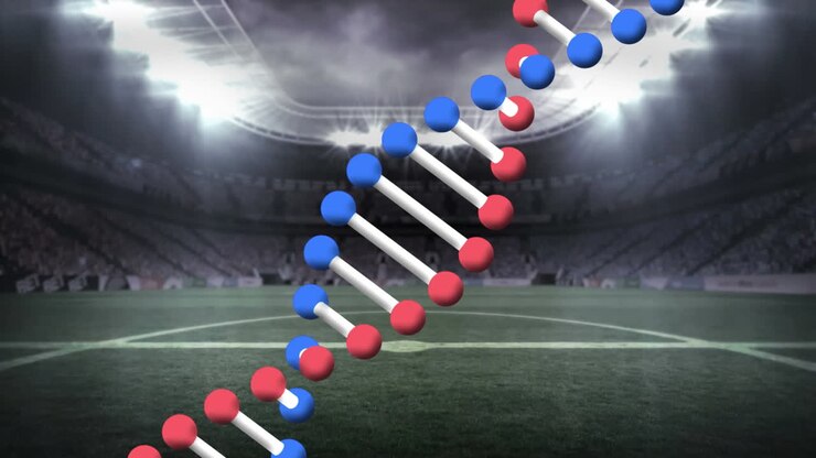 Animazione di un filamento di DNA rotante su uno stadio sportivo