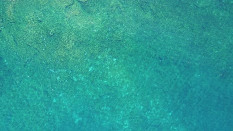 arrecife verde con olas desde arriba por avión no tripulado, la santa en la isla volcánica de lanzarote