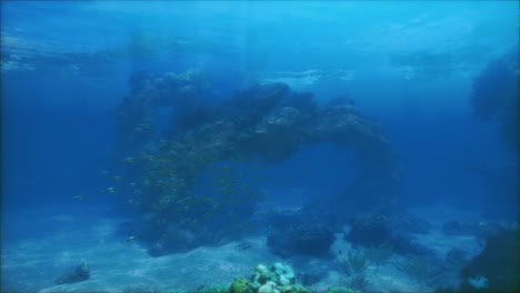 underwater scene with colorful fish and coral reef