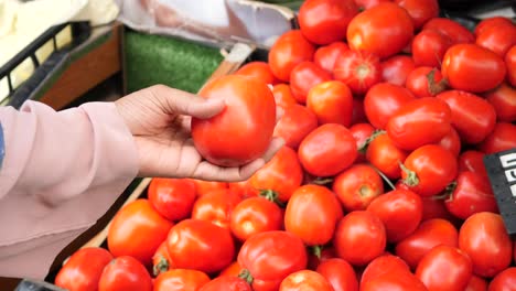 mano sosteniendo un tomate en el mercado de los agricultores