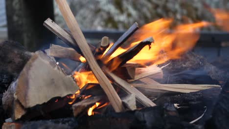 primer plano del fuego de madera que comienza a subir, quemando la yesca y los pequeños palos secos de madera y ramitas y siendo agitados por el viento que sopla en un ambiente de campamento