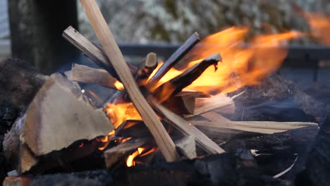 close up shot of wood fire starting to rise, burning away the tinder and the small dry sticks of wood and twigs and being agitated by blowing wind in a camping environment