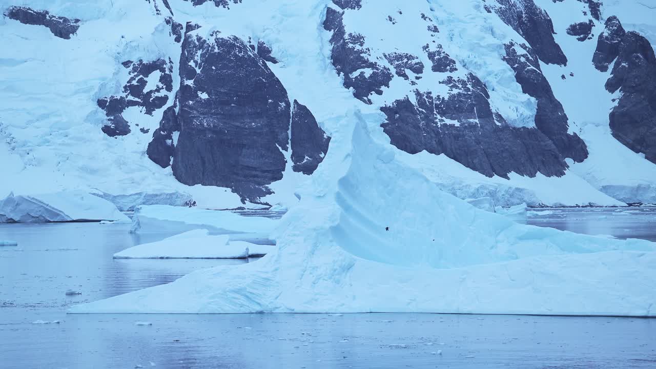 Cena em câmera lenta de pássaros voando na paisagem da Antártica, aves marinhas em voo passando por icebergs em um cenário de inverno com uma cena deslumbrante, dramática, coberta de gelo e neve