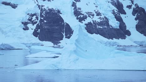 disparo en cámara lenta de pájaros volando en el paisaje de la antártida, aves marinas en vuelo volando más allá de icebergs en paisajes de invierno con increíble hermosa escena dramática cubierta de hielo y cubierta de nieve