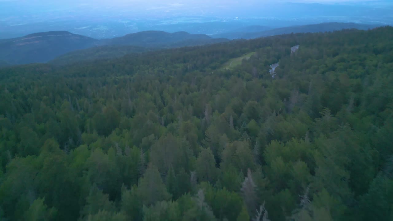 美國新墨西哥州阿爾伯克附近桑迪亞山脈常綠森林的空中景色,無人機拍攝