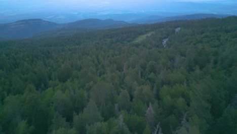 Luftaufnahme-Des-Immergrünen-Waldes-In-Den-Sandia-bergen-In-Der-Nähe-Von-Albuquerque,-New-Mexico-Usa-An-Einem-Bewölkten-Tag,-Drohnenaufnahme