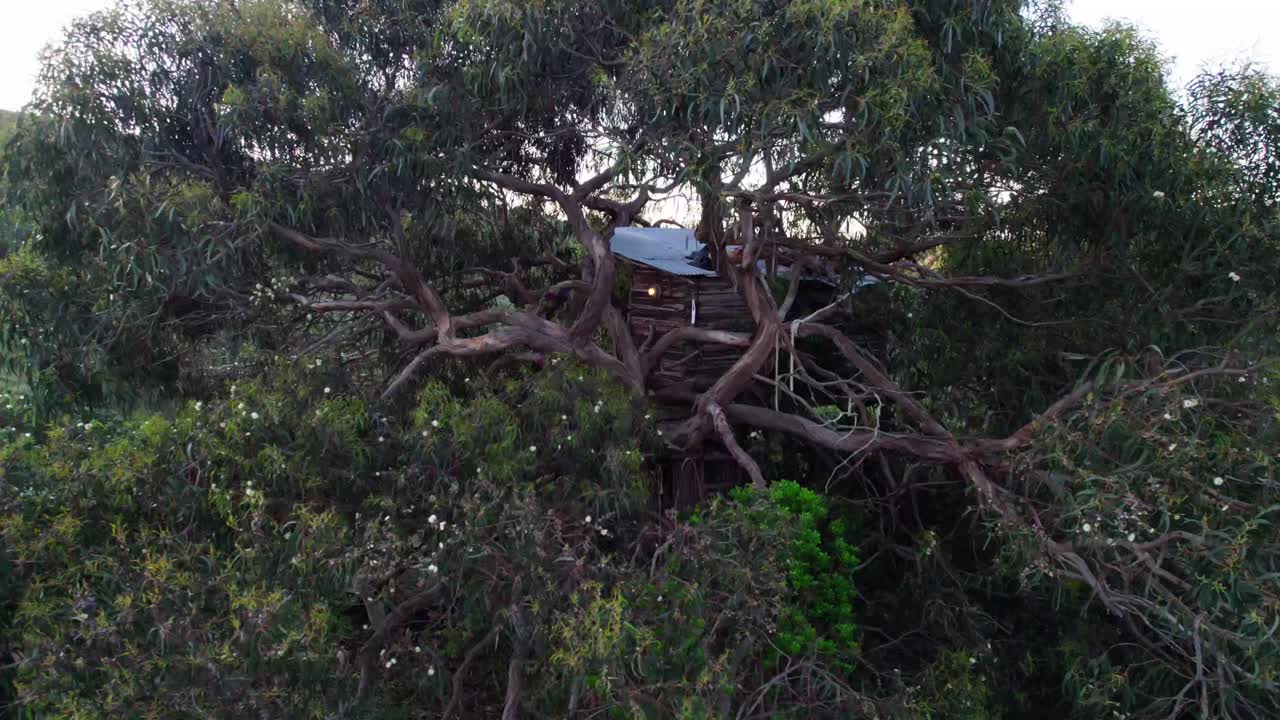 Rustic Treehouse Nestled In A Lush Green Forest - Drone Shot