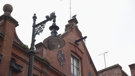 Close-Up-Of-Street-Lamp-Outside-Building-In-Bourdon-Street-Mayfair-London-With-Pigeons