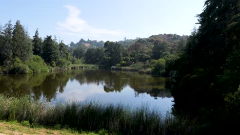 Embalse-Del-Cañón-Franklin-En-Franklin-Canyon-Park