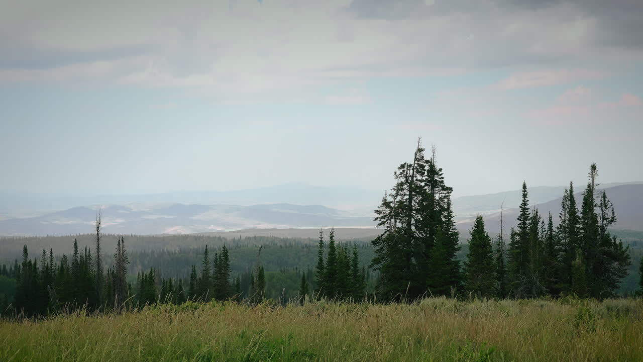 tiempo tormentoso con viento fuerte y cielo nublado sobre las montañas forestales