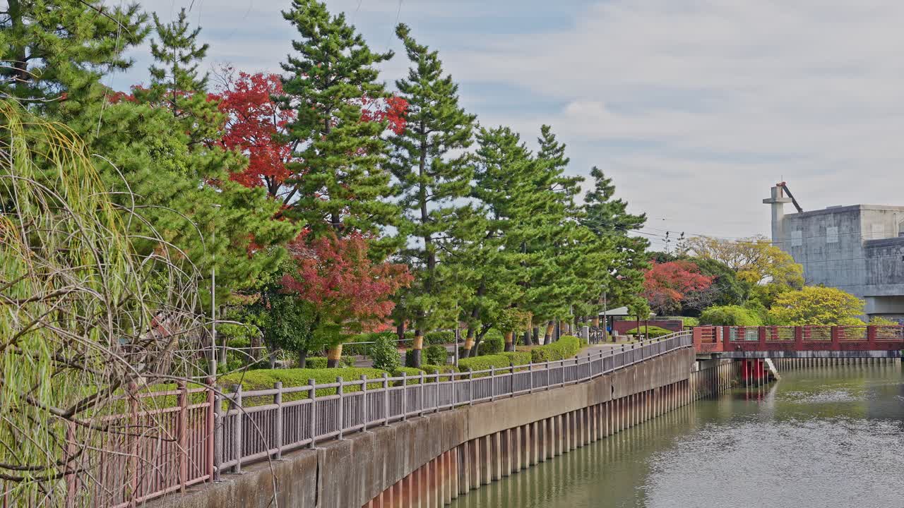 A riverside embankment walkway lined with pine and autumn-colored trees under an overcast sky in Japan