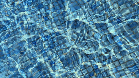 wavy water in the swimming pool blue tile and sunlight glistening