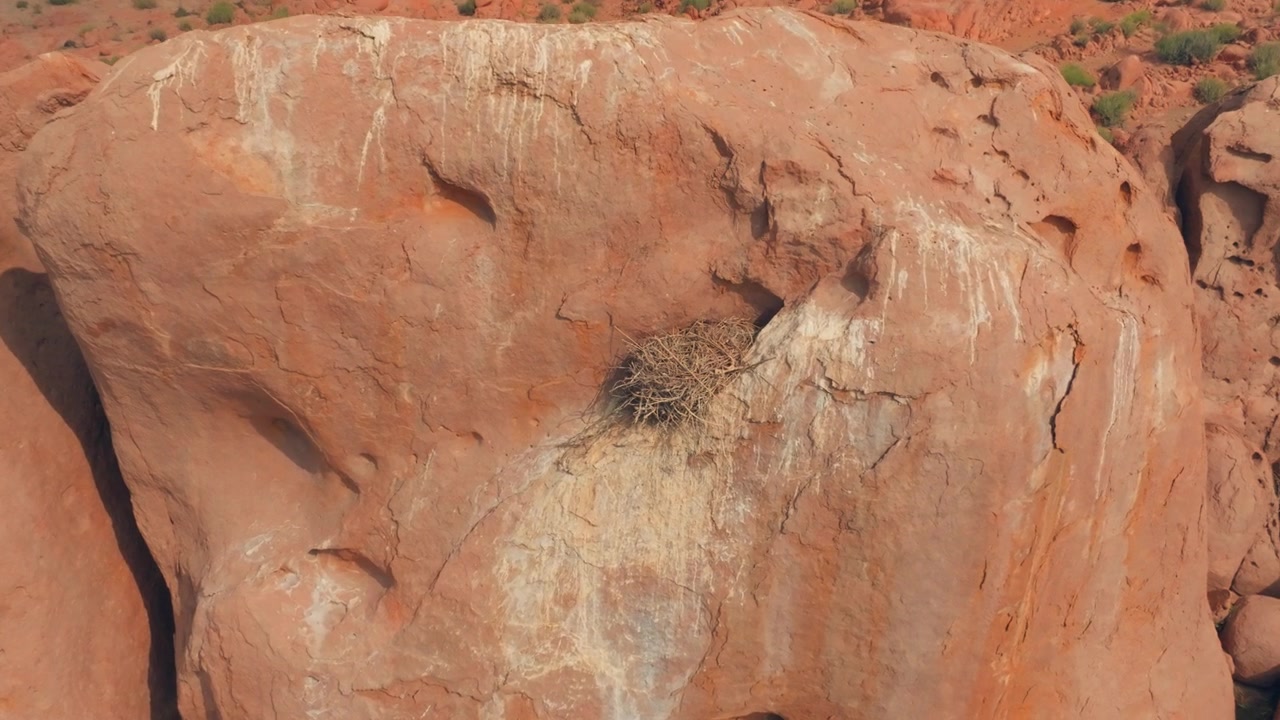 Drone scivola accanto a un nido di aquila rapace costruito in alto su una ripida scogliera desertica nel Sindh.