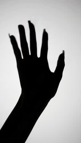 abstract silhouettes of a hand on a white background