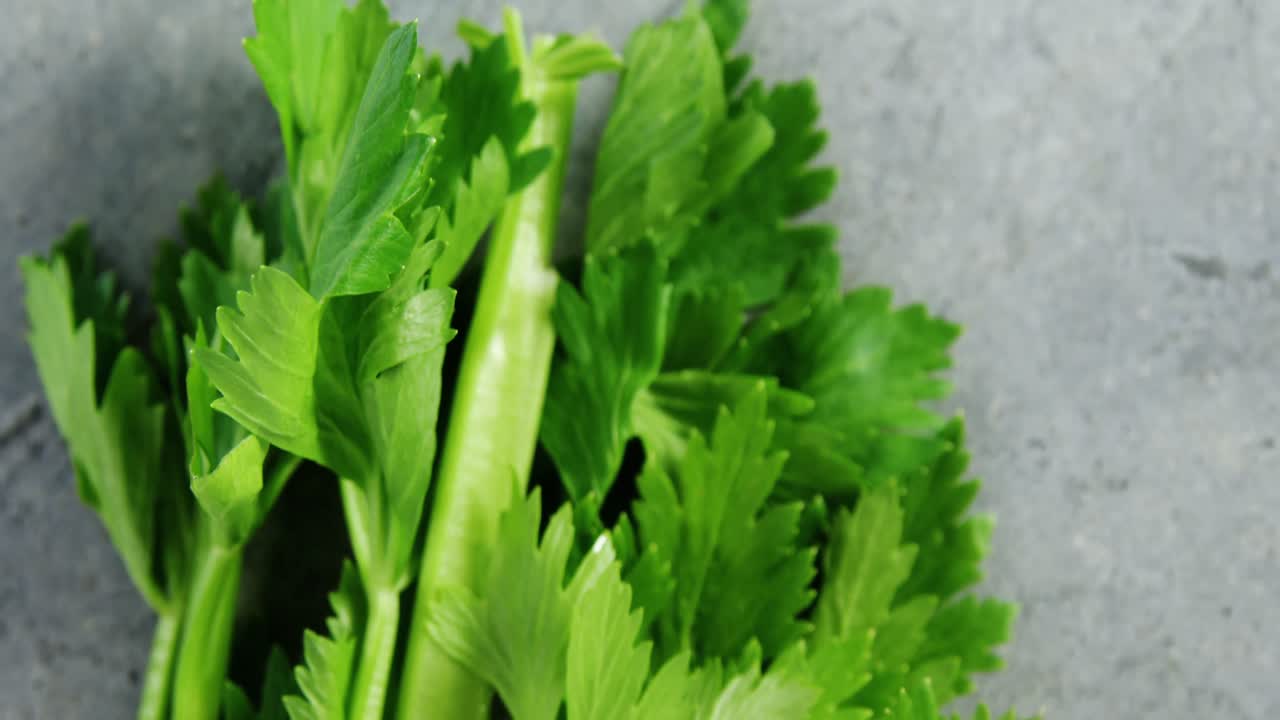 cilantro en hormigón