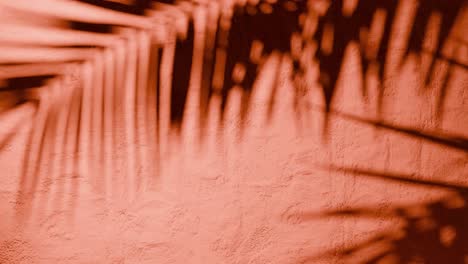 shadow of palm leaves on textured orange plaster wall with natural sunlight. tropical plant silhouette on stucco surface. design for wallpaper, banner, postcard, greeting card, poster, vertical