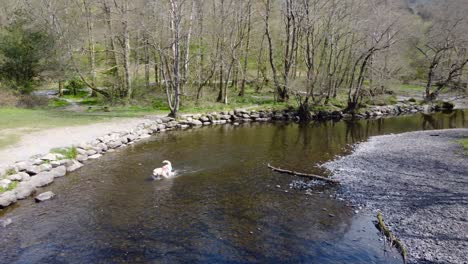 a drone shot of beautiful natural scenery of river in day time