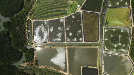 Luftseitenfahrt-Der-Industriellen-Garnelenfarm