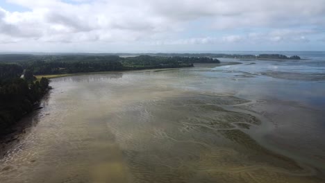 Aerial-view-of-the-southern-Pacific-coast-of-Washington-State,-Willapa-Bay