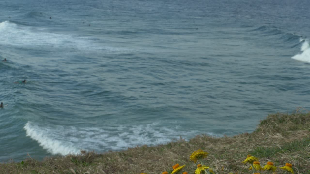 Ocean Waves And Surfers In Cabarita, New South Wales, Australia - Tilt Up