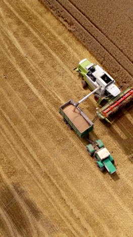 harvester machine pouring out grains into a trailer. industrial equipment working on yellow field at harvesting time. agronomy business. top aerial view. vertical video
