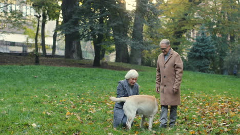 Senior-Mann-Und-Frau-Verbringen-Zeit-Zusammen-Mit-Ihrem-Hund-Im-Park-Bei-Sonnenuntergang-Im-Herbst