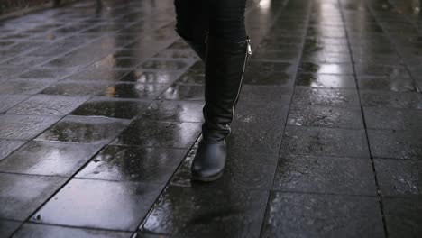 mujer da un paseo por el parque de otoño caminando por el callejón 1