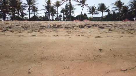 walking around sandy beach in tropical indonesia beach. yellow wild beach with no peoples