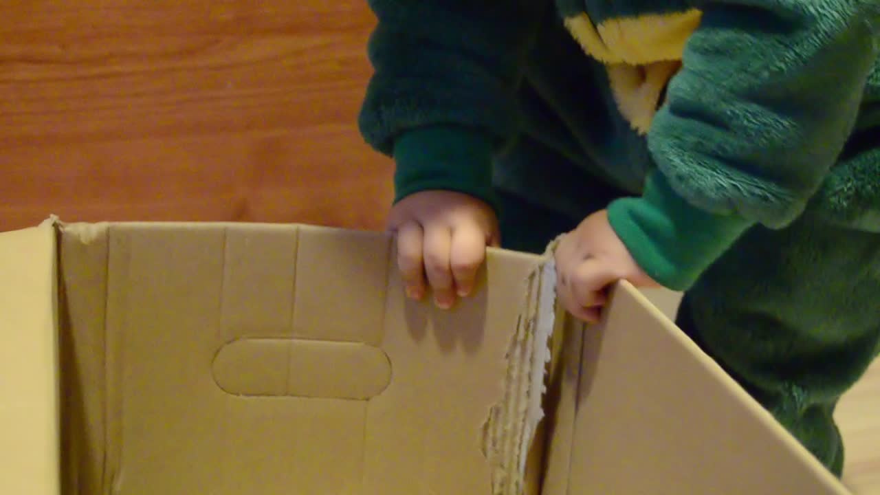 Cute child in dinosaur costume playing with cardboard box at home