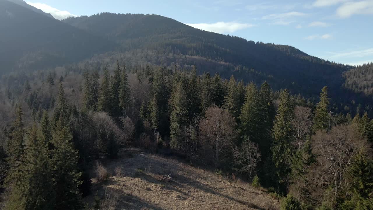 luz del sol sobre el bosque de pinos en la cordillera del macizo ceahlau en rumania