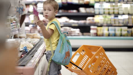 niño poniendo productos en el carrito de compras
