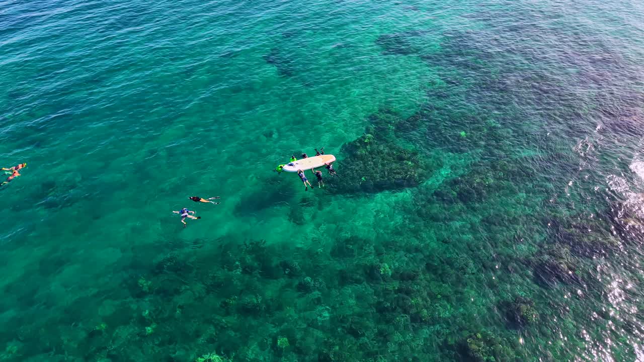 Group of snorkelers with a paddle board over a coral reef in Maui, top-down aerial shot