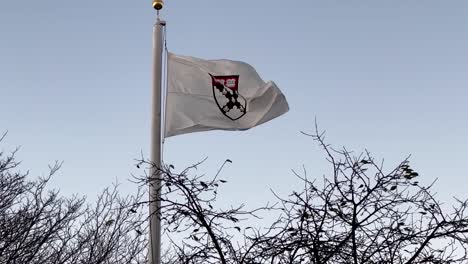 Una-Bandera-De-La-Universidad-De-Harvard-En-Una-Encuesta-Ondeando-En-La-Brisa-En-Cámara-Lenta