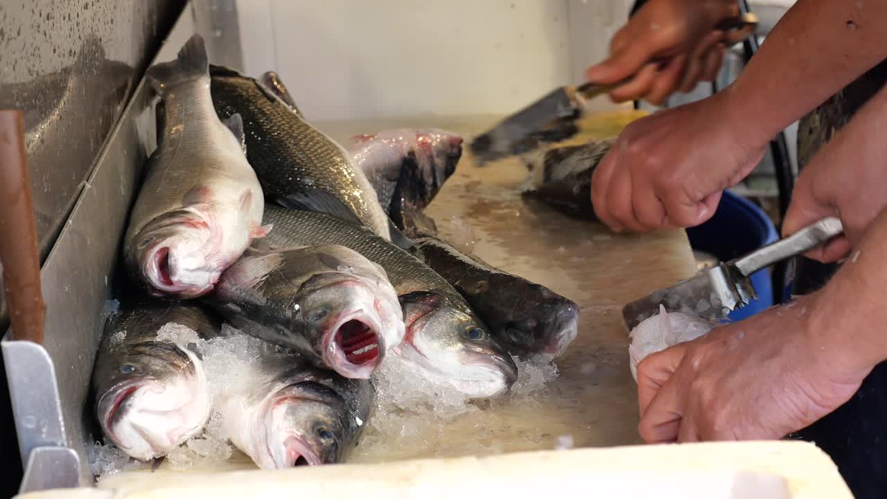 Fresh Fish Being Prepared