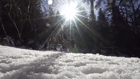 Footage-of-a-beautiful,-snowy,-pine-forest-in-the-mountains-during-the-winter-1