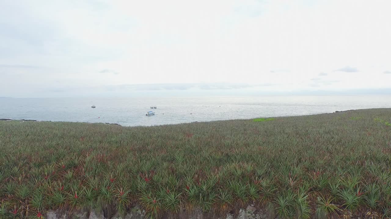 이슬라 레돈다, 마리에타스 제도, 나야리트, 멕시코의 숨겨진 해변에서 공중 집업 샷