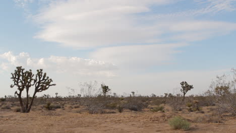 windy desert landscape in the daytime