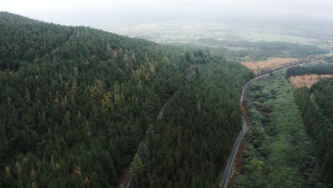 Aerial-top-view-of-two-forest-roads-in-the-Clogheen-mountains-with-the-camera-panning-up,-Tipperary,-Ireland