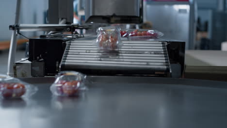 paquetes de plástico de tomate que se mueven en una máquina de cinta transportadora tecnológica de cerca