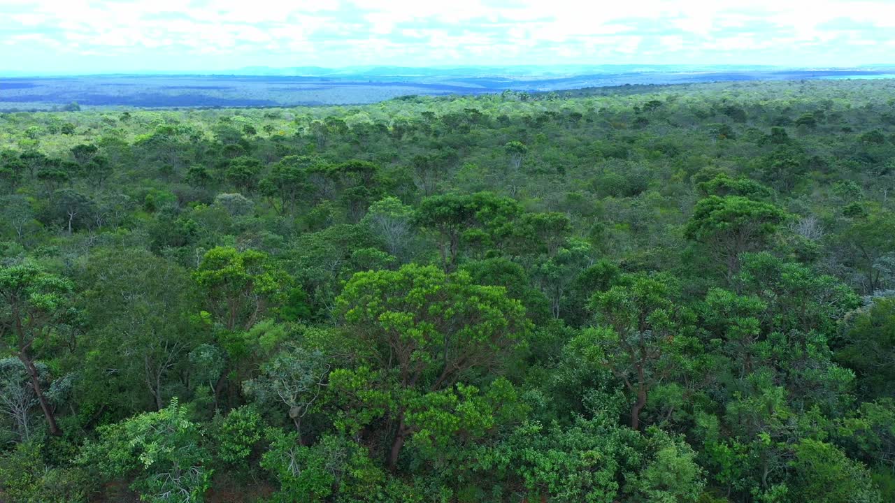 더 많은 농지를 위한 공간을 만들기 위해 나무가 파괴될 사바나 세라도와 접해 있는 브라질 열대우림 - 조감도