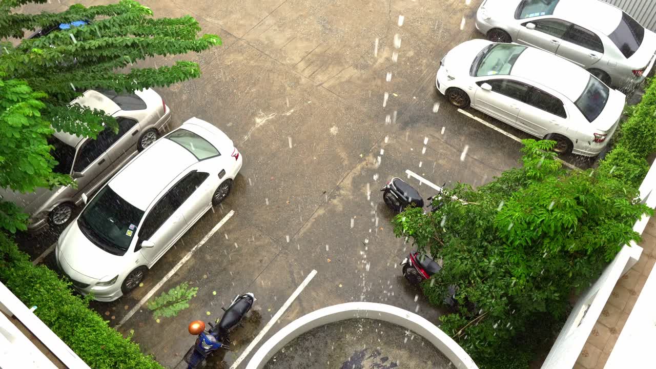 4к дождь на дом, прекрасный вид когда дождь по листьям в дневное время дождь падает на маленькие деревья зеленая природа концепция