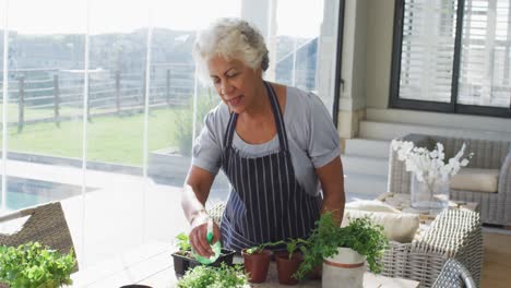 African-american-senior-woman-wearing-apron-smiling-while-spraying-water-on-plants-at-home