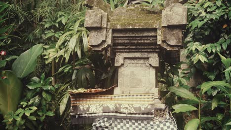 stone statue overgrown with moss in bali island, motion view